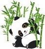 Panda_Bambuk